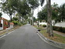 Braddell Heights Estate (D13), Detached #587746231